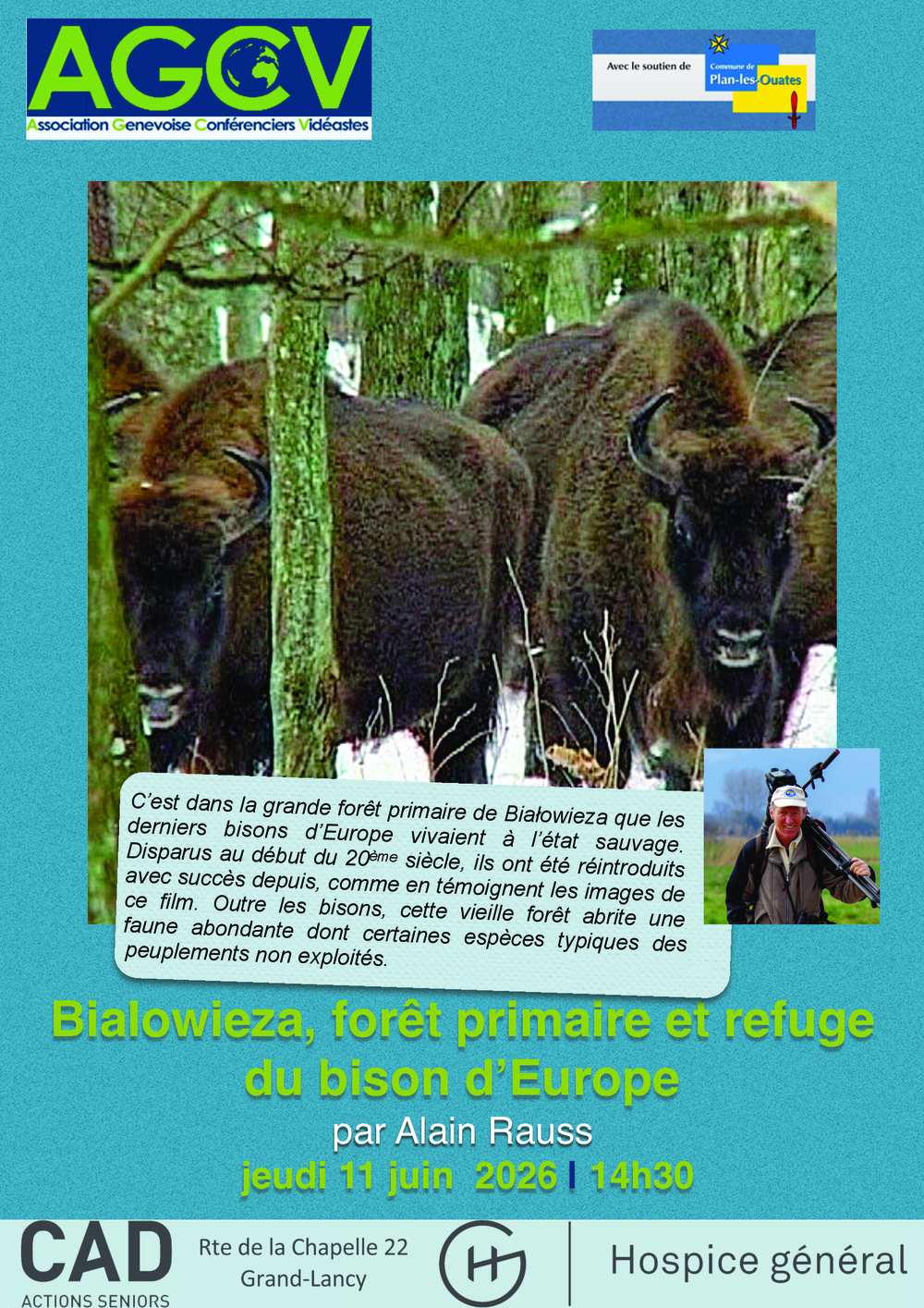 Bialowieza, forêt primaire et refuge du bison d’Europe